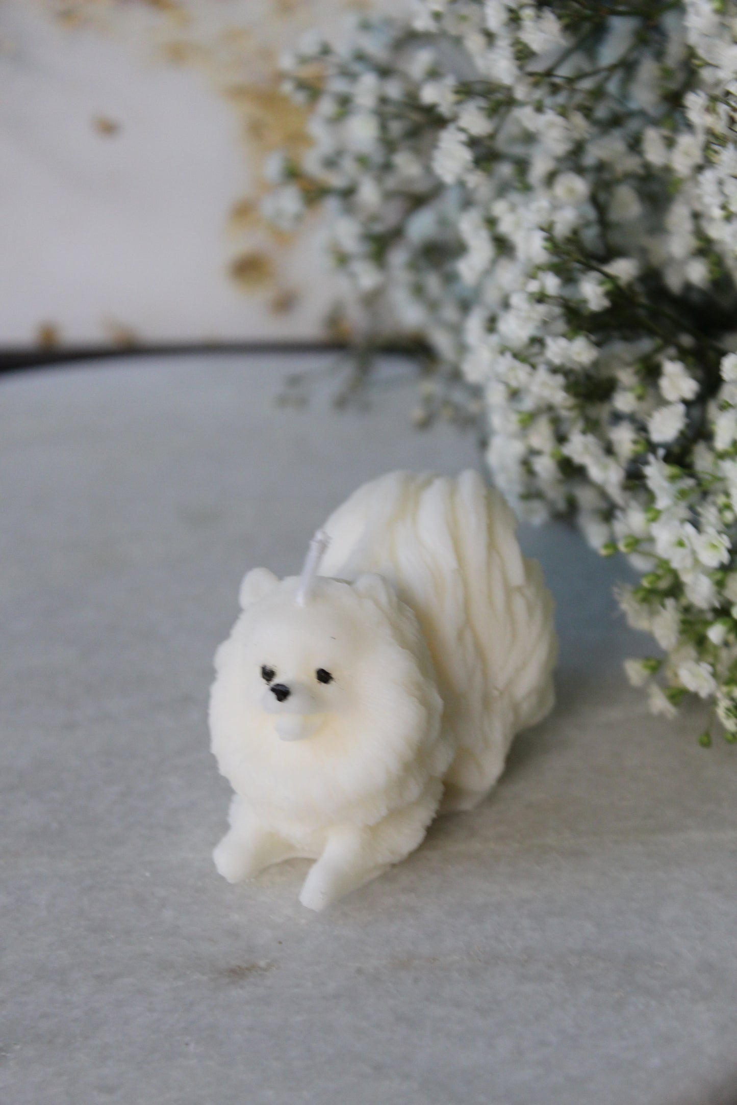 Candle Pomeranian | Kaars Pomeriaan