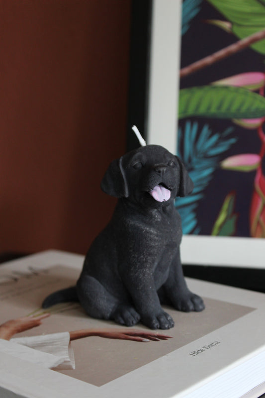 Candle Labrador | Kaars Labrador