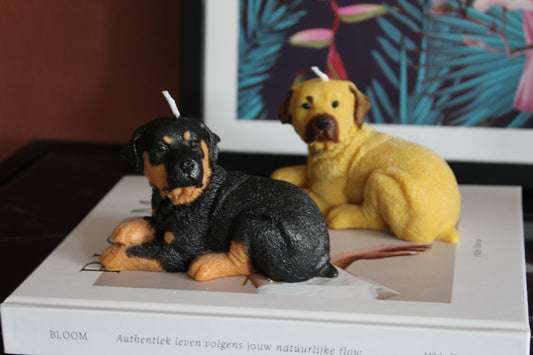 Candle Rottweiler | Kaars Hond