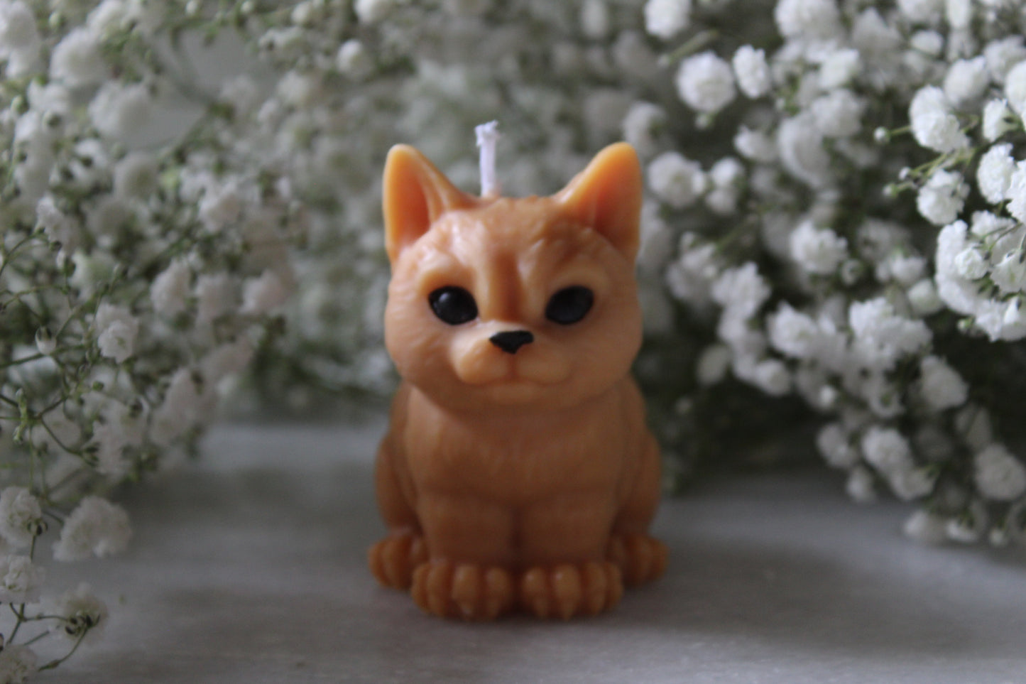 Candle Cat | Kaars Kat