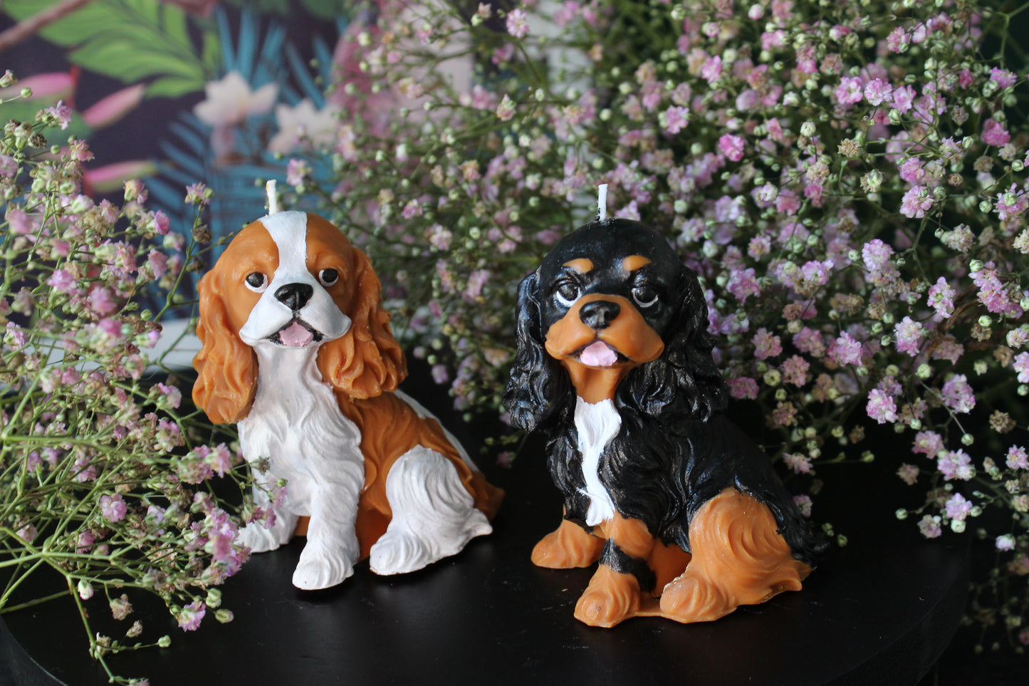 Candle Cavalier King Charles Spaniel | Kaars Hond