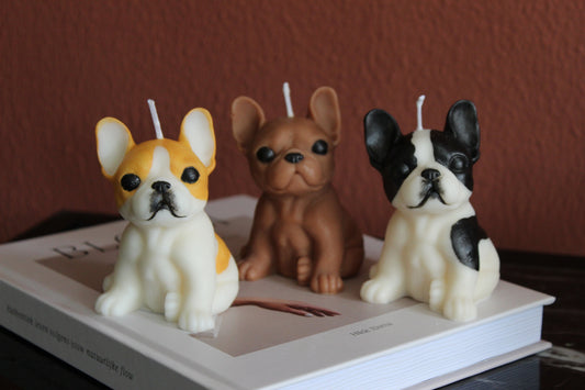 Candle French Bulldog | Kaars Franse Bulldog