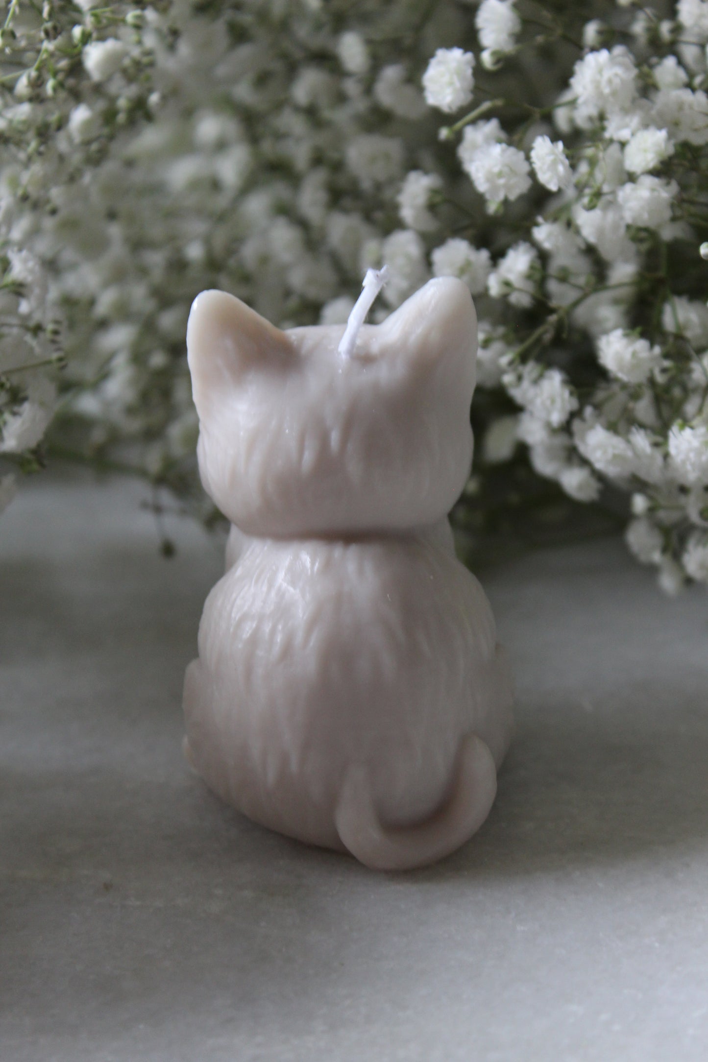 Candle Cat | Kaars Kat