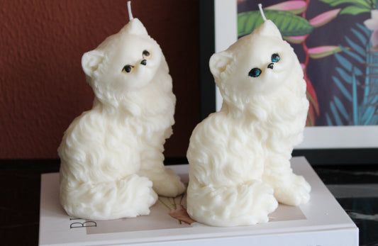 Candles Persian Cat | Kaars Perzische kat