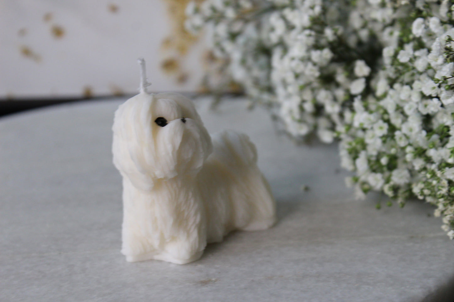 Candle Shih Tzu | Kaars Shih Tzu