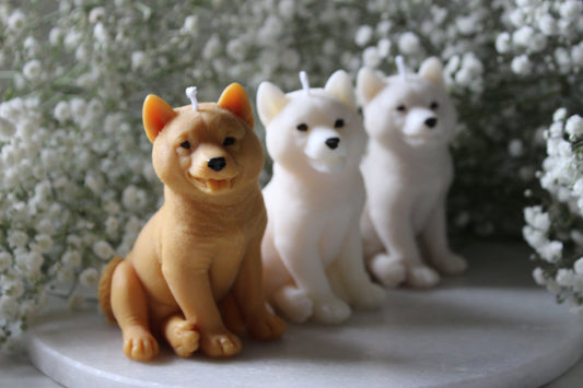 Candle Shiba | Kaars Shiba