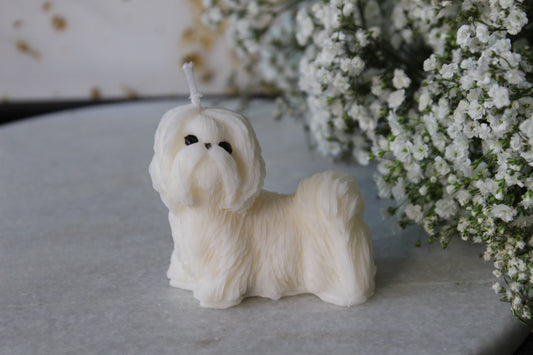 Candle Shih Tzu | Kaars Shih Tzu