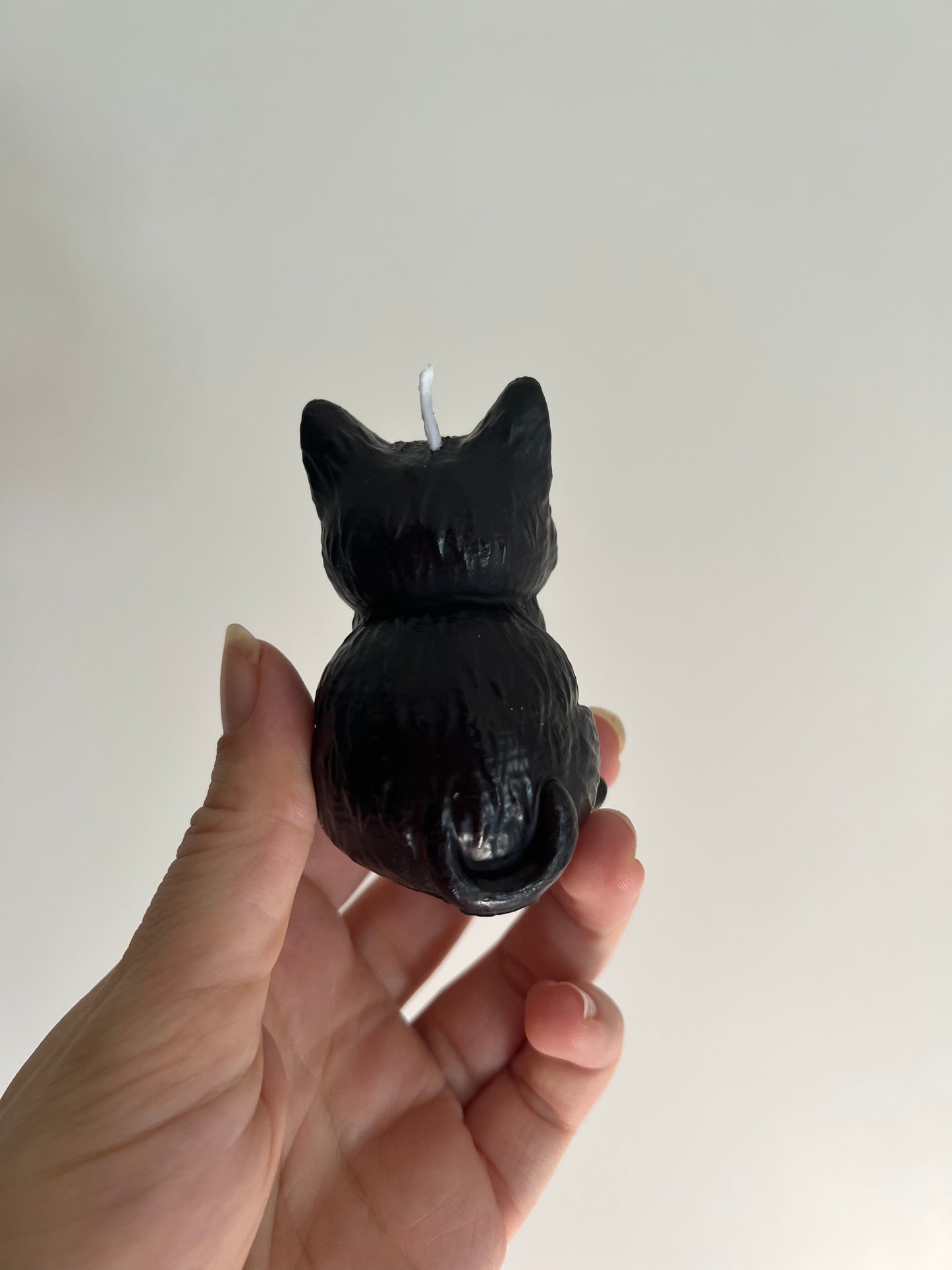 Candle Cat | Kaars Kat