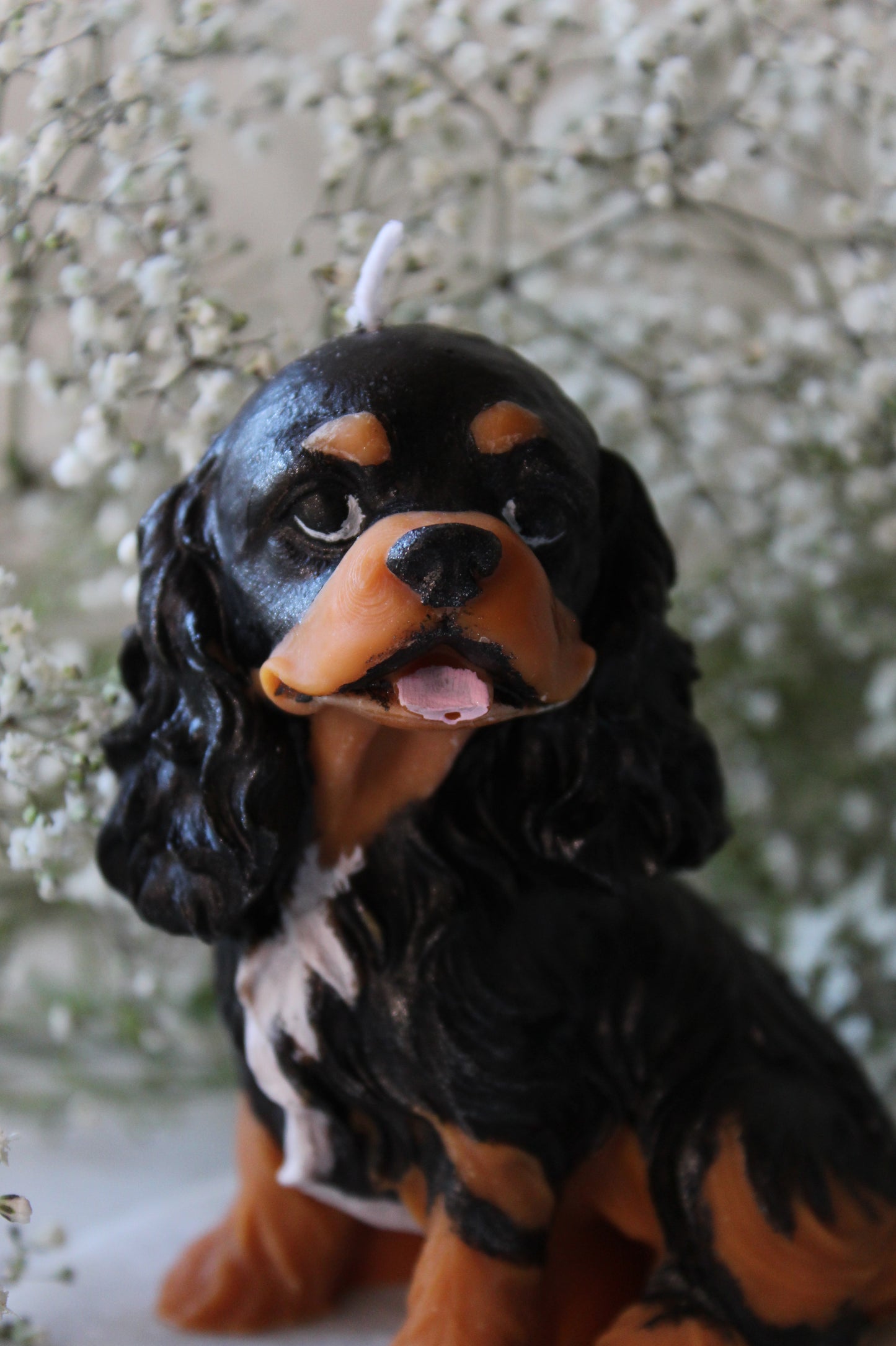 Candle Cavalier King Charles Spaniel | Kaars Hond