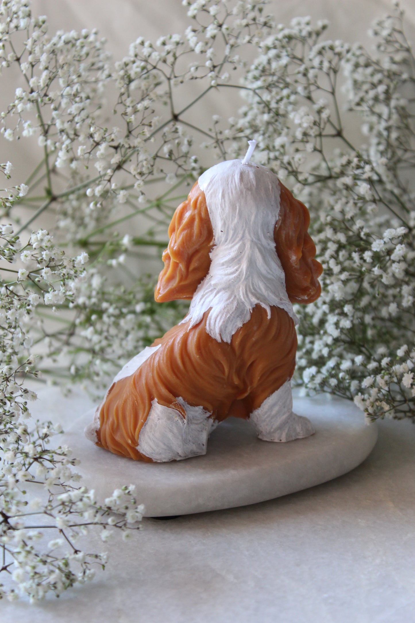 Candle Cavalier King Charles Spaniel | Kaars Hond