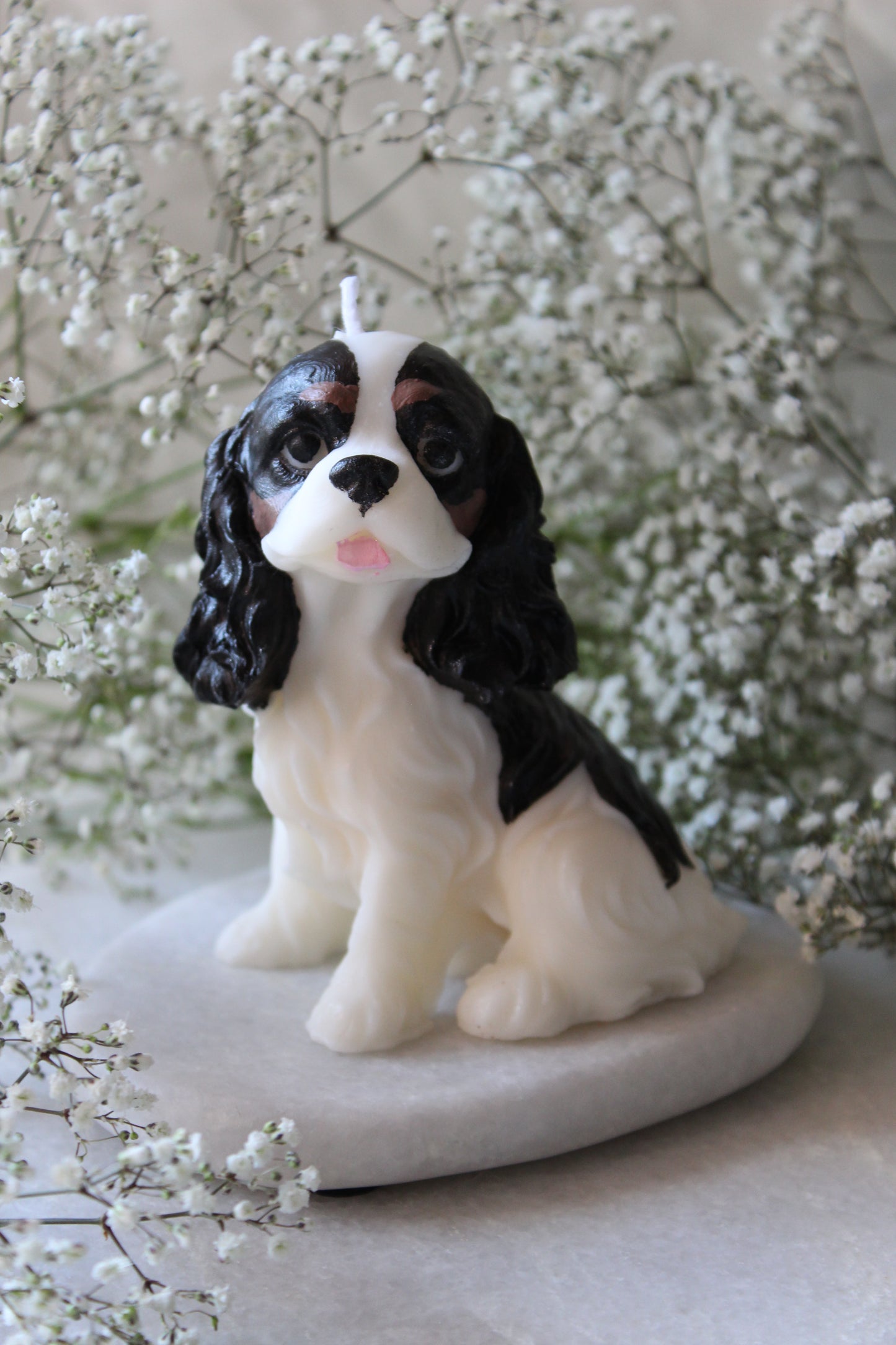 Candle Cavalier King Charles Spaniel | Kaars Hond