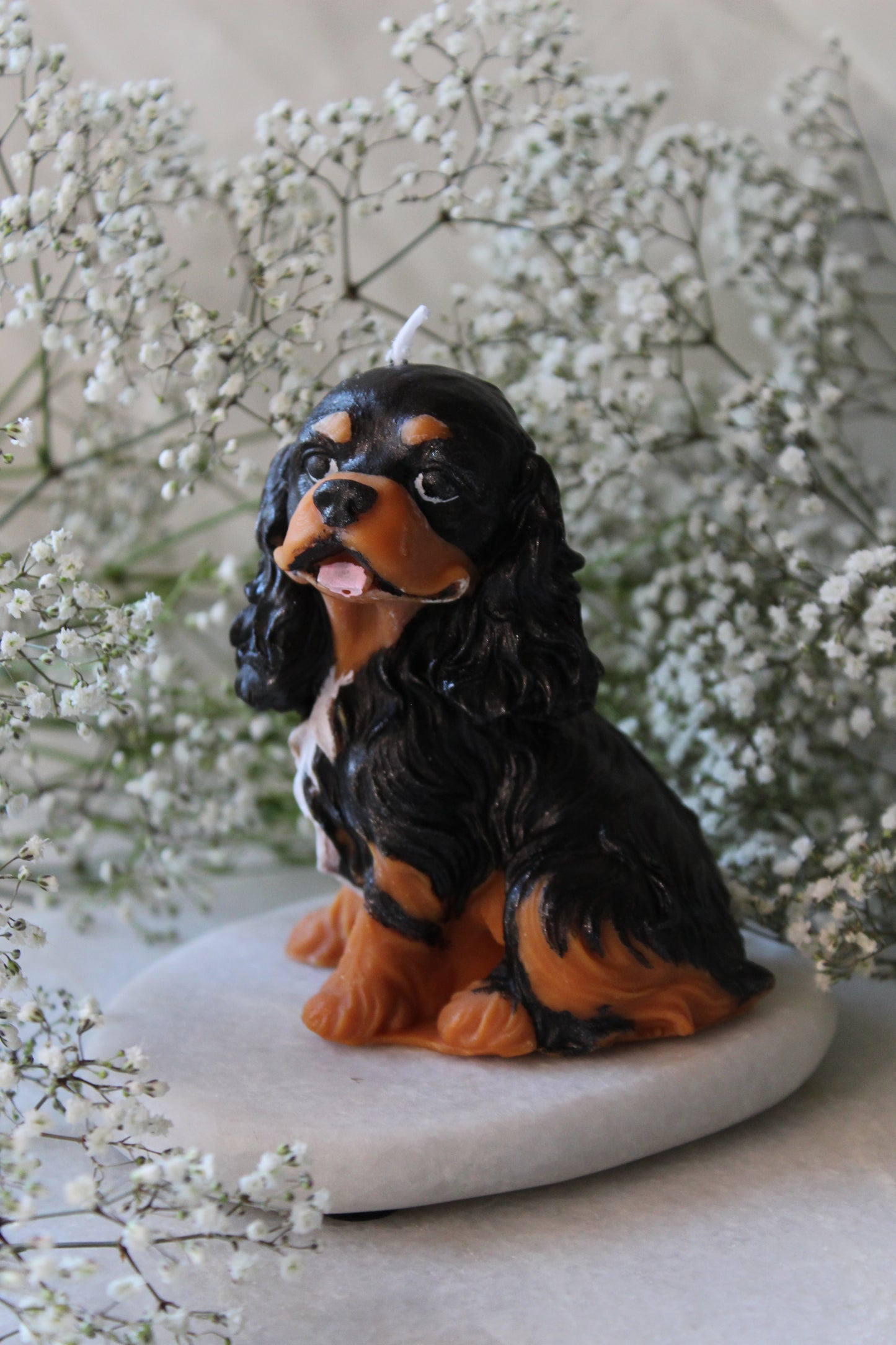 Candle Cavalier King Charles Spaniel | Kaars Hond