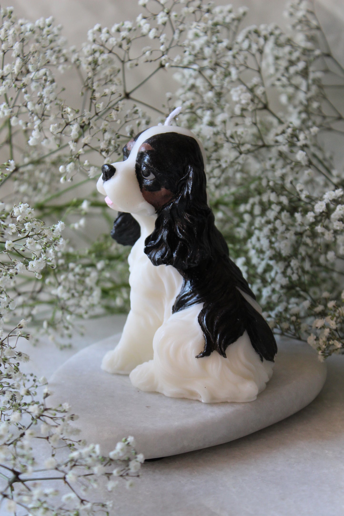 Candle Cavalier King Charles Spaniel | Kaars Hond