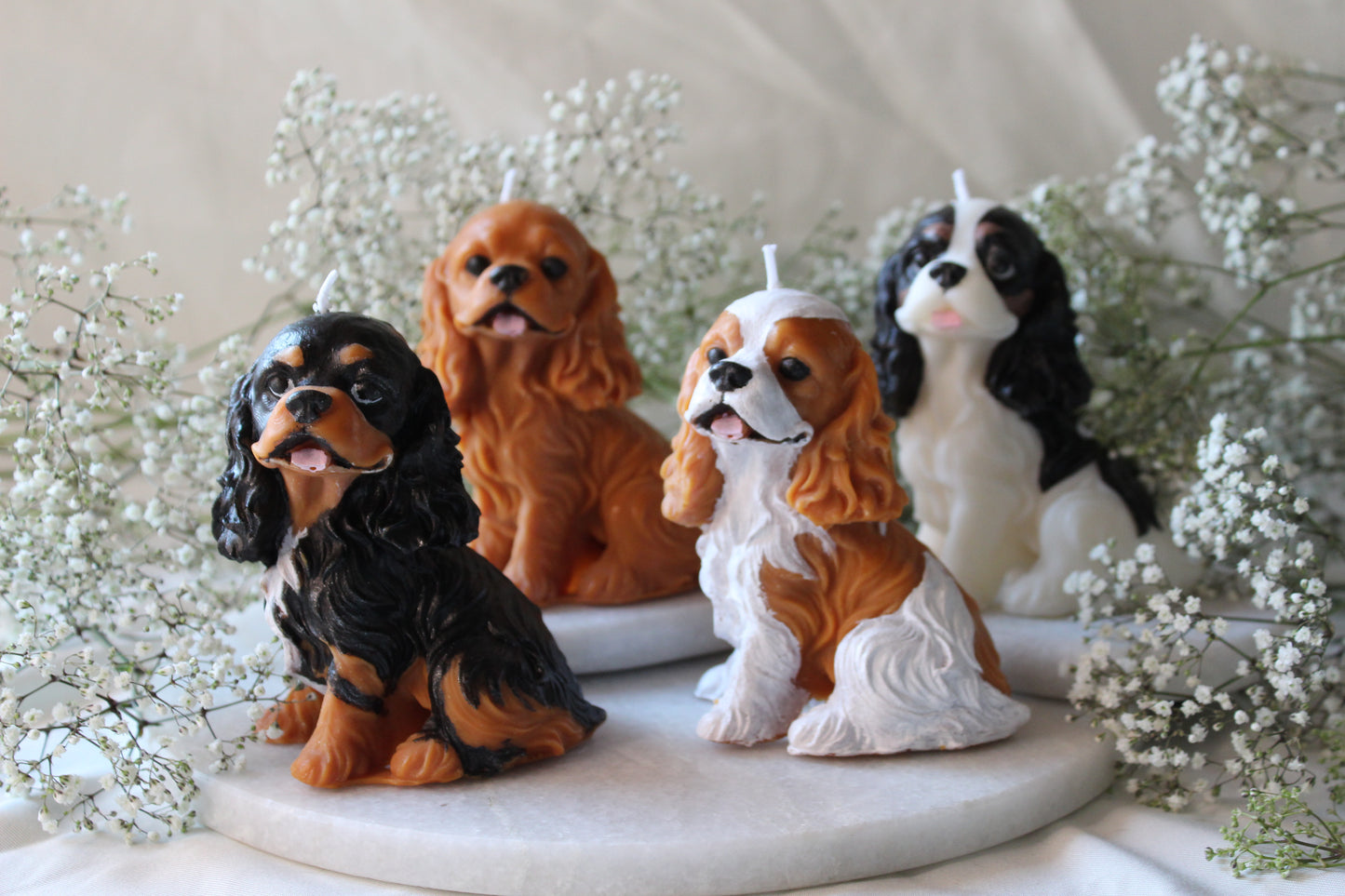 Candle Cavalier King Charles Spaniel | Kaars Hond