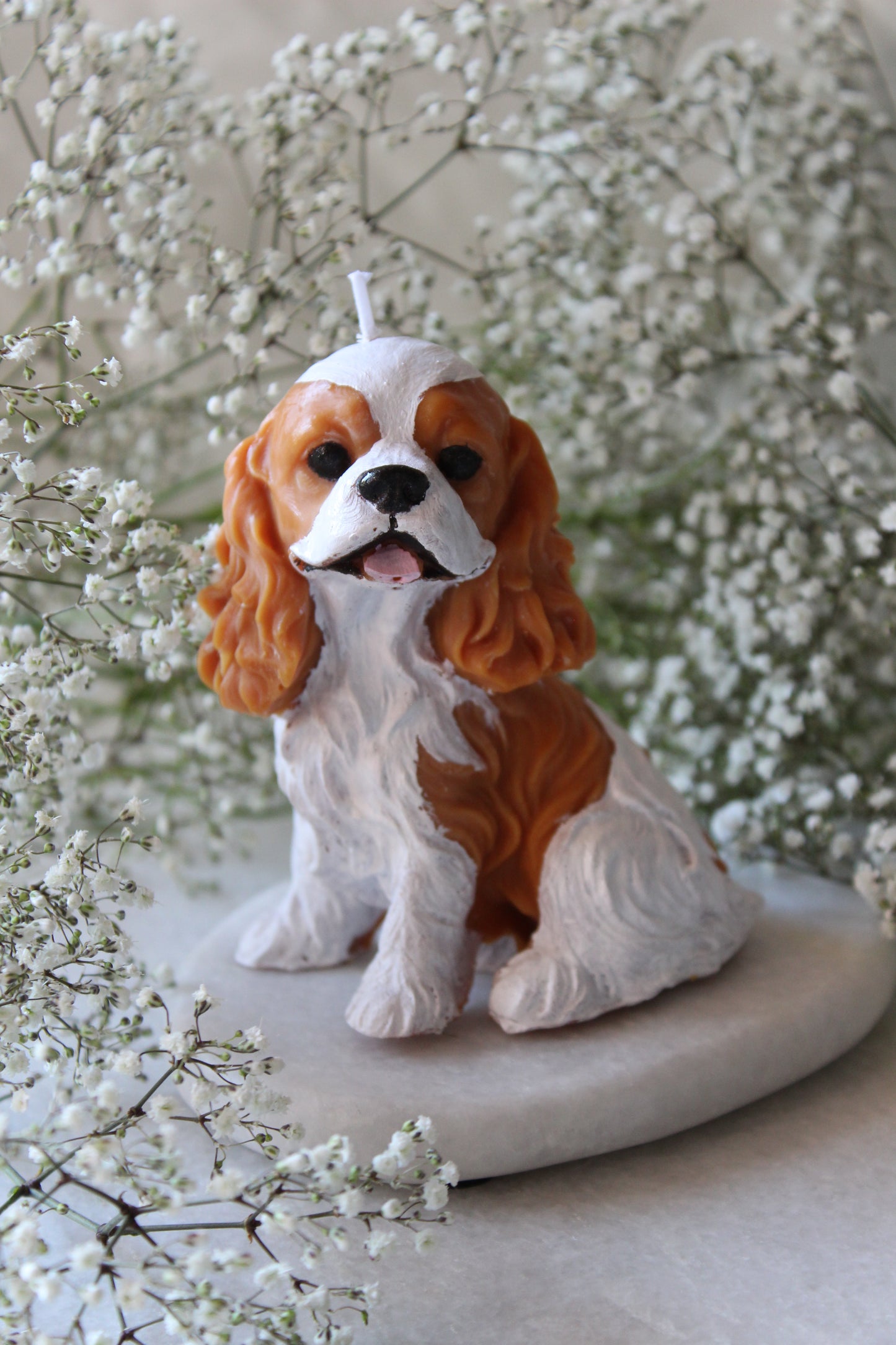 Candle Cavalier King Charles Spaniel | Kaars Hond