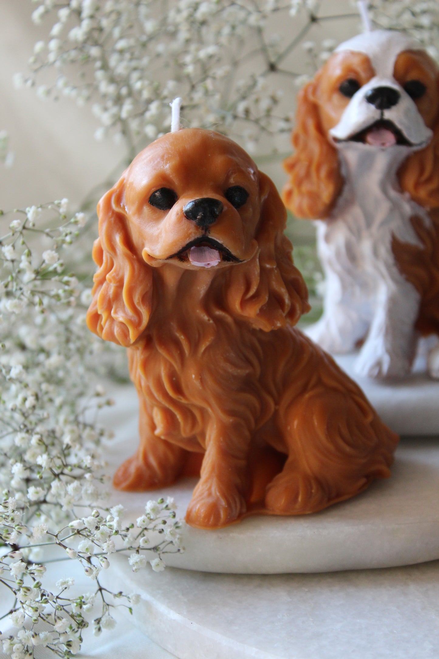 Candle Cavalier King Charles Spaniel | Kaars Hond