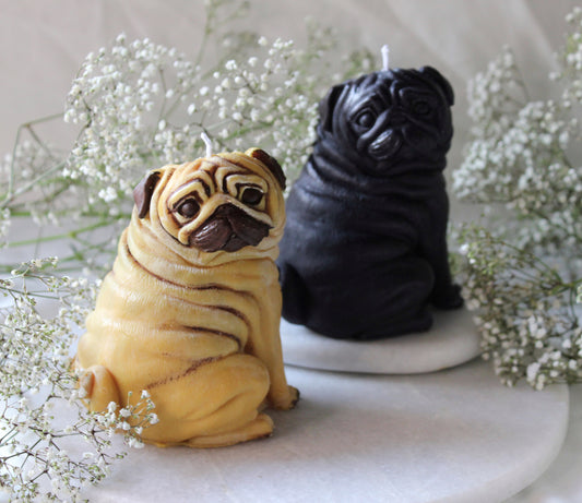 Candle Pug | Kaars Mopshond