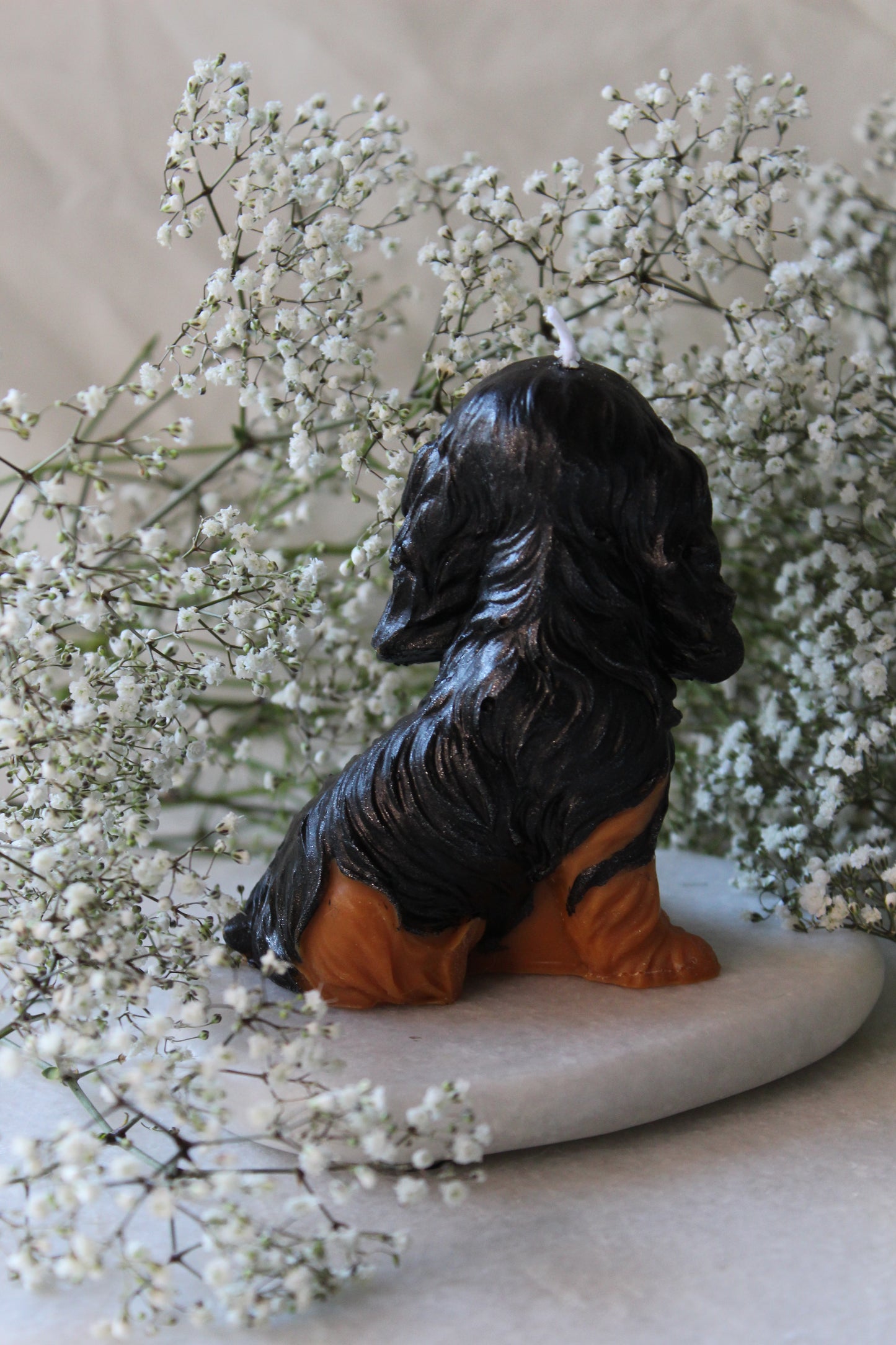 Candle Cavalier King Charles Spaniel | Kaars Hond