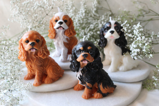 Candle Cavalier King Charles Spaniel | Kaars Hond