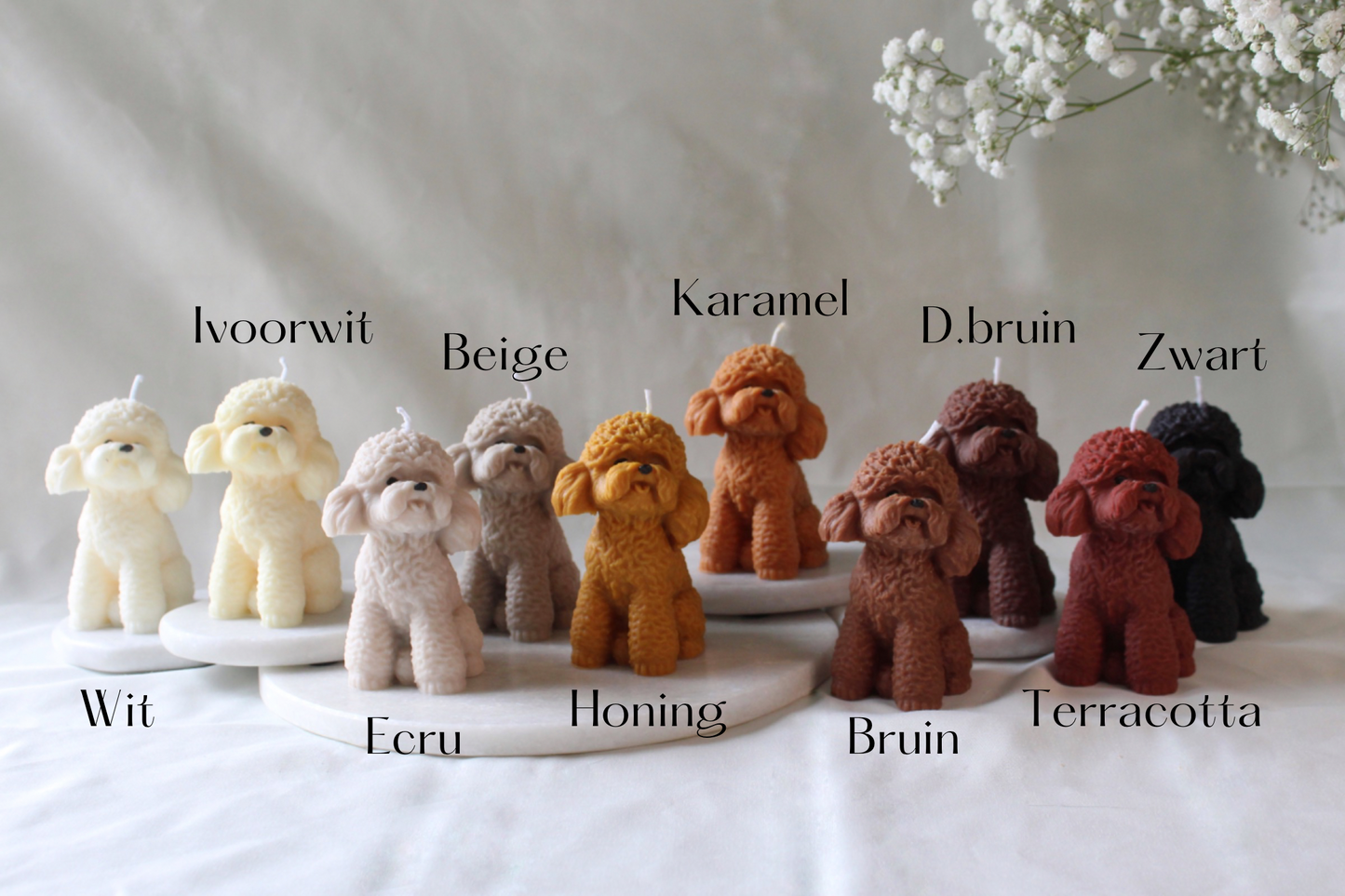 Candle Poodle | Kaars Poedel | Labradoodle