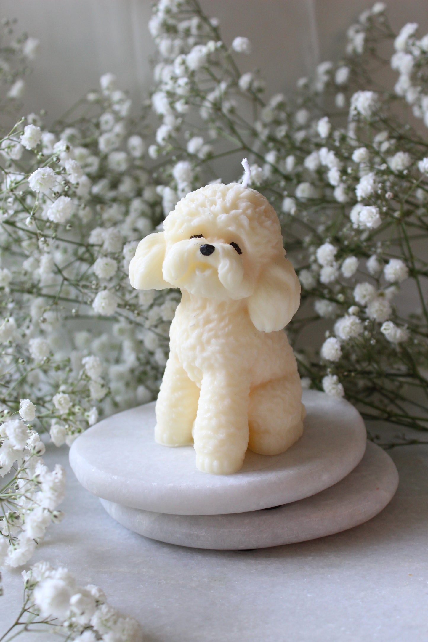 Candle Poodle | Kaars Poedel | Labradoodle