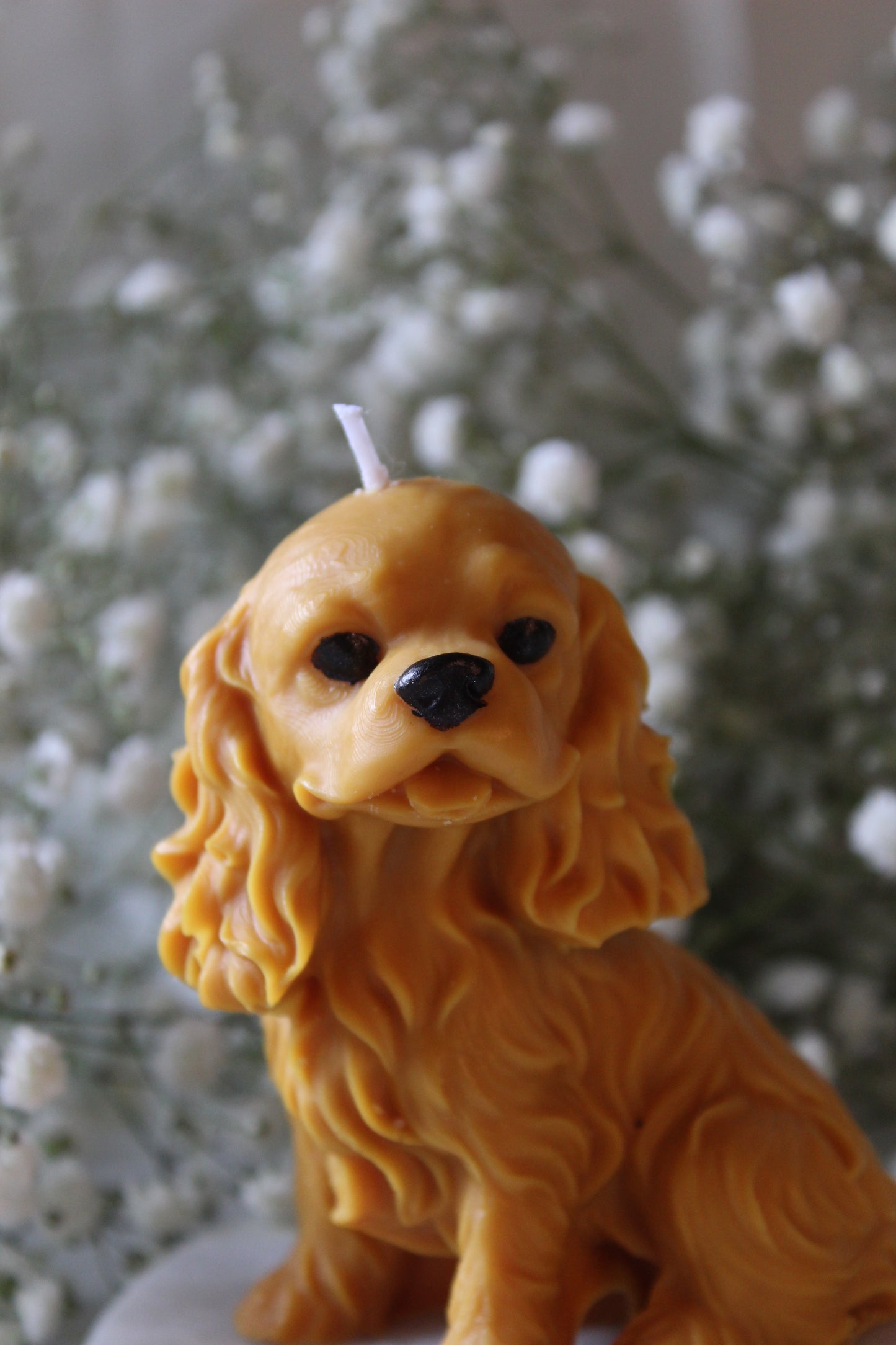 Candle Cavalier King Charles Spaniel | Kaars Hond