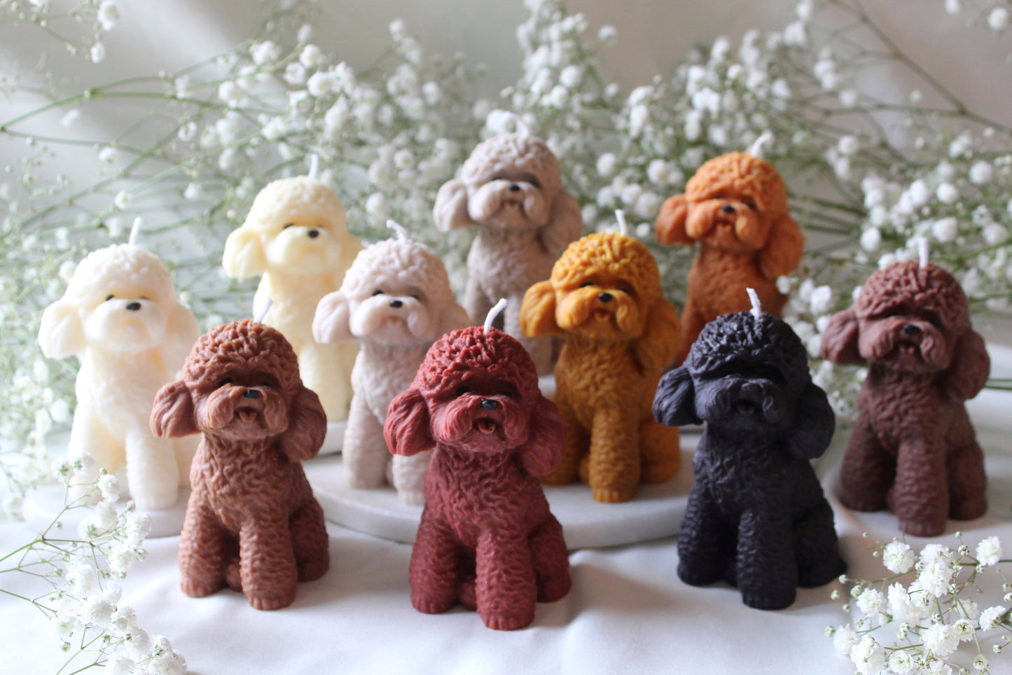 Candle Poodle | Kaars Poedel | Labradoodle