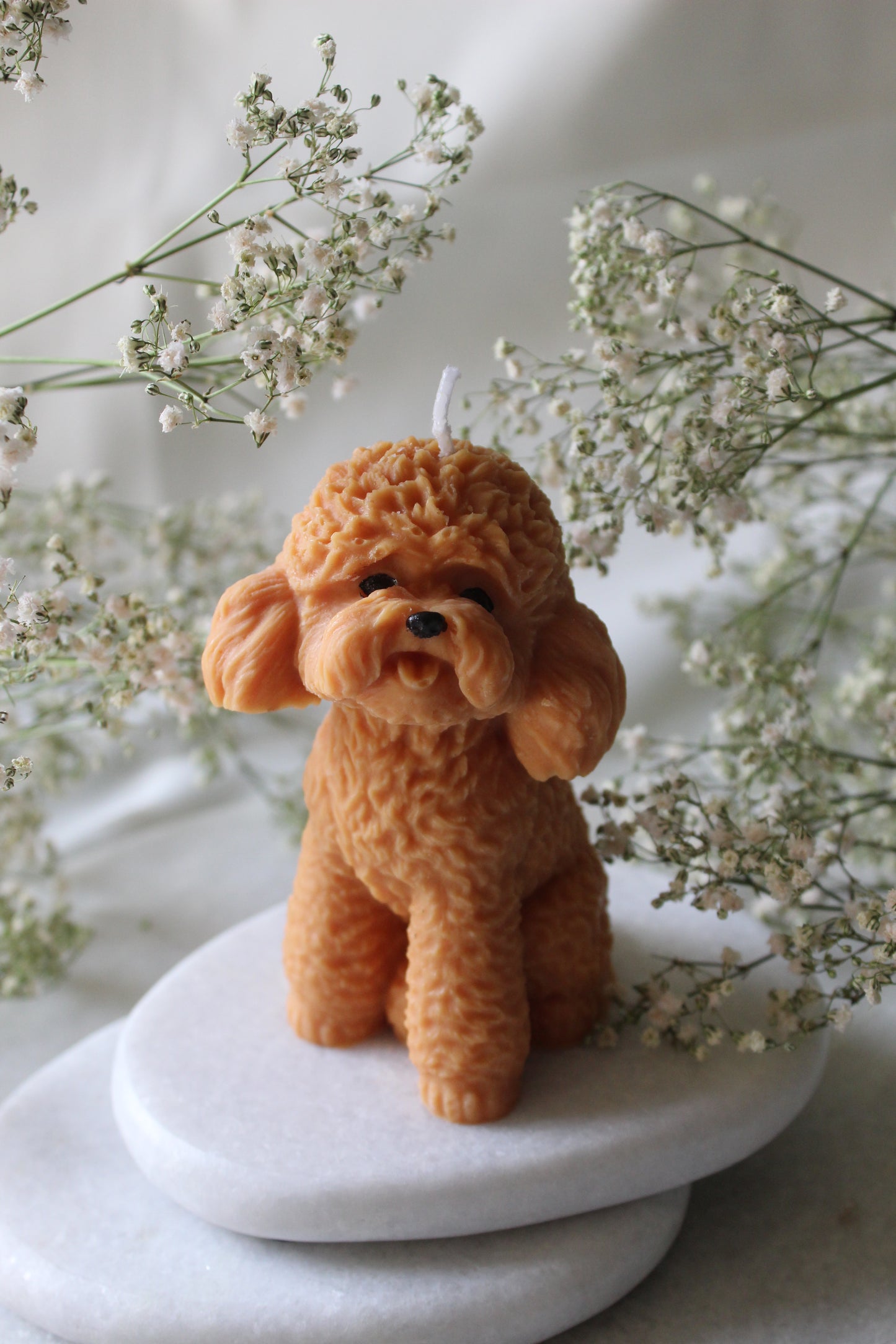 Candle Poodle | Kaars Poedel | Labradoodle