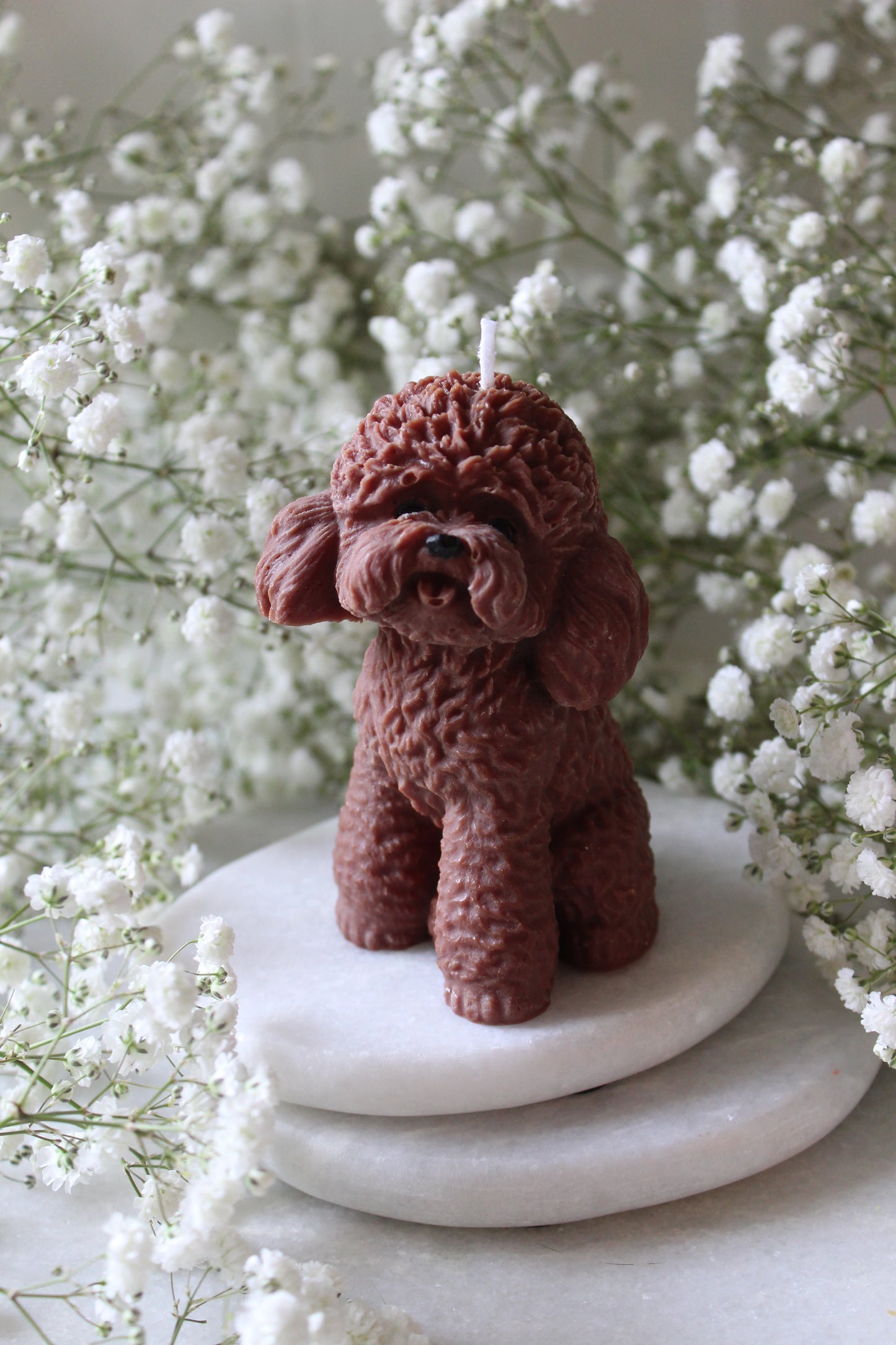 Candle Poodle | Kaars Poedel | Labradoodle