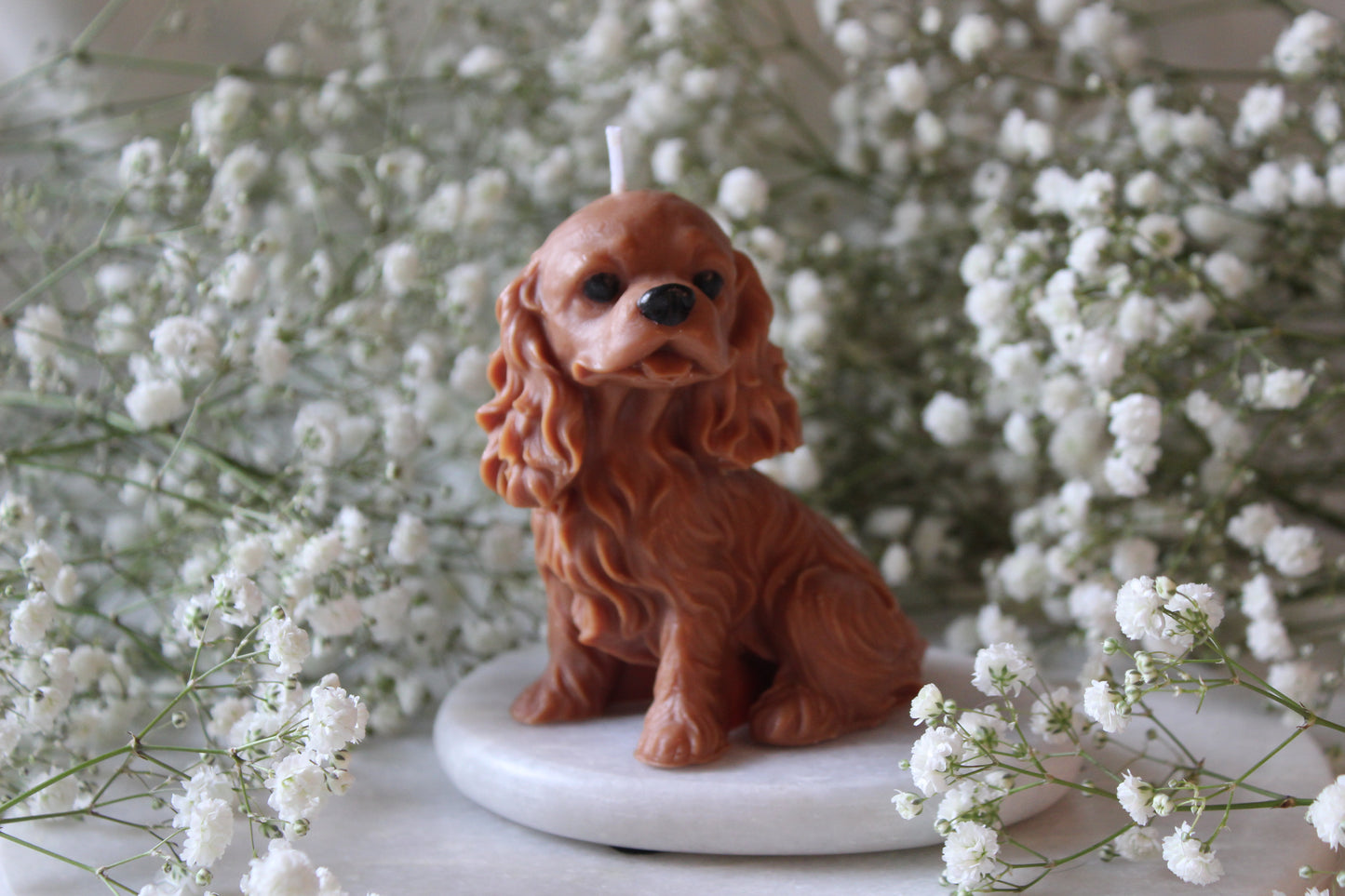 Candle Cavalier King Charles Spaniel | Kaars Hond