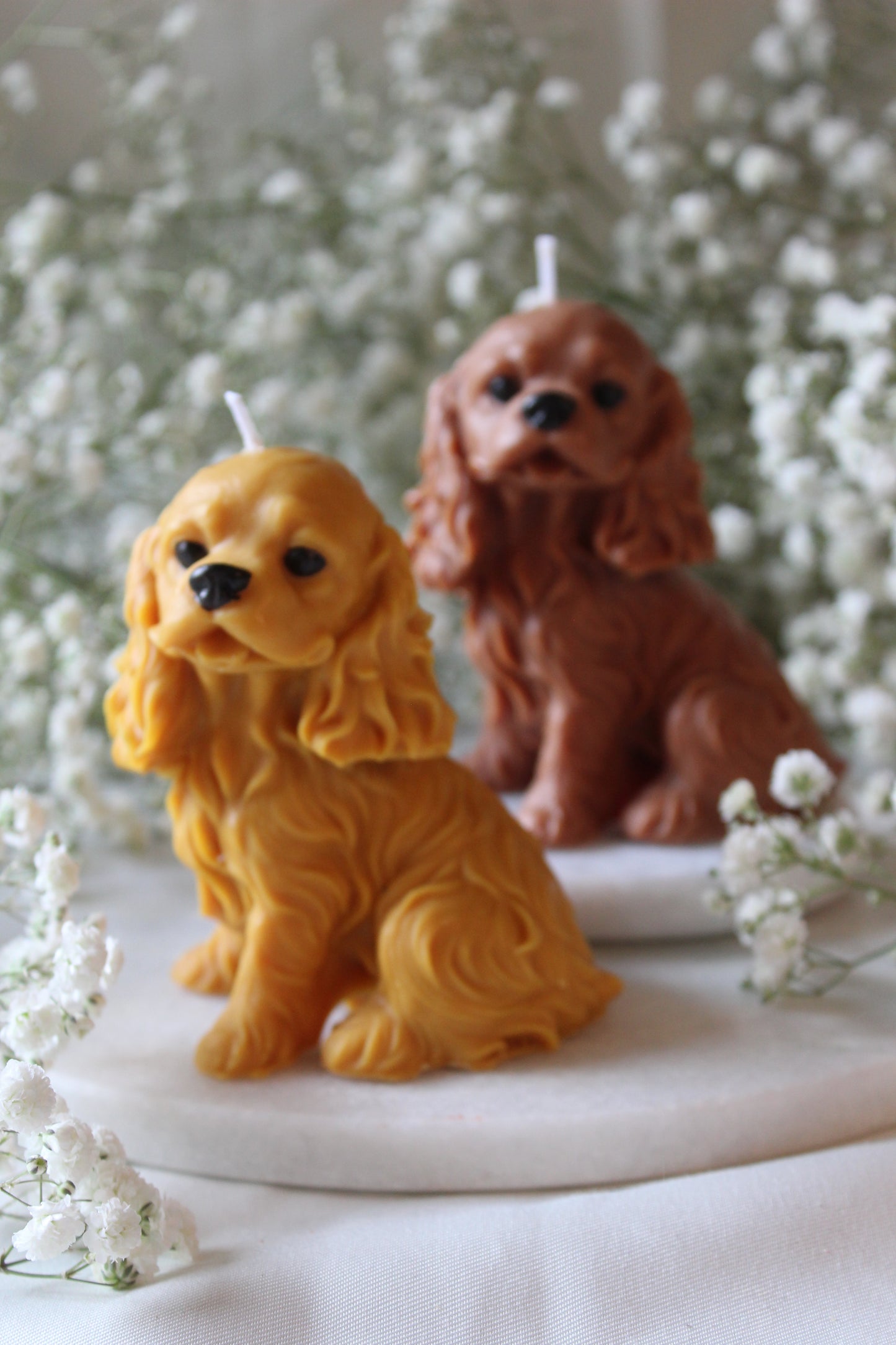 Candle Cavalier King Charles Spaniel | Kaars Hond