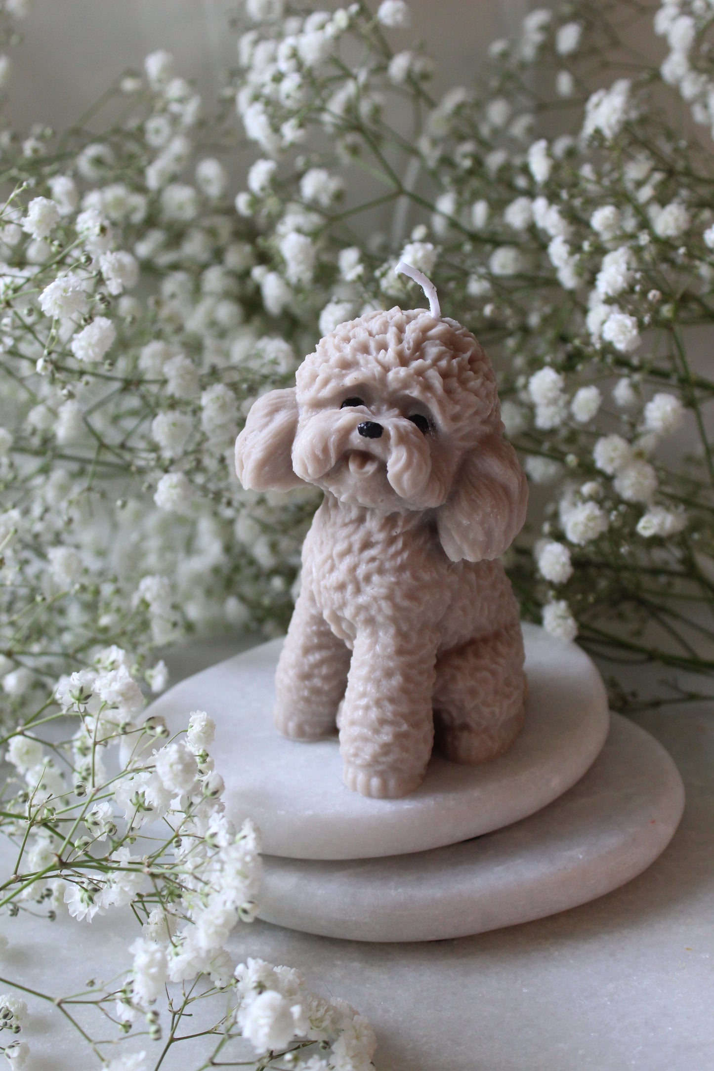 Candle Poodle | Kaars Poedel | Labradoodle