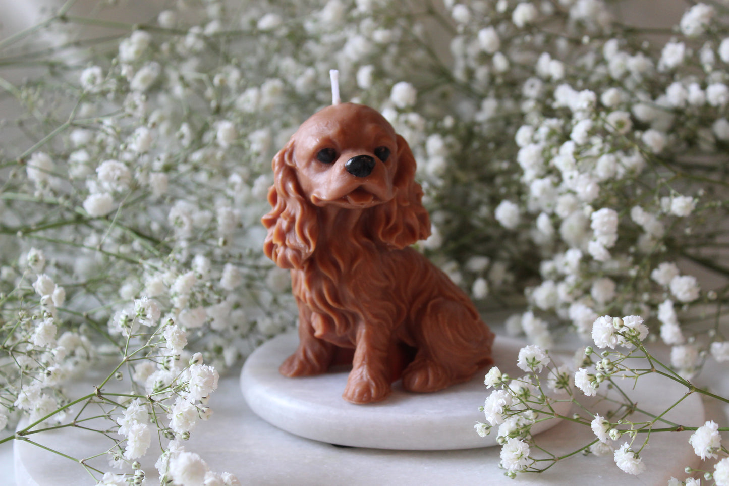 Candle Cavalier King Charles Spaniel | Kaars Hond