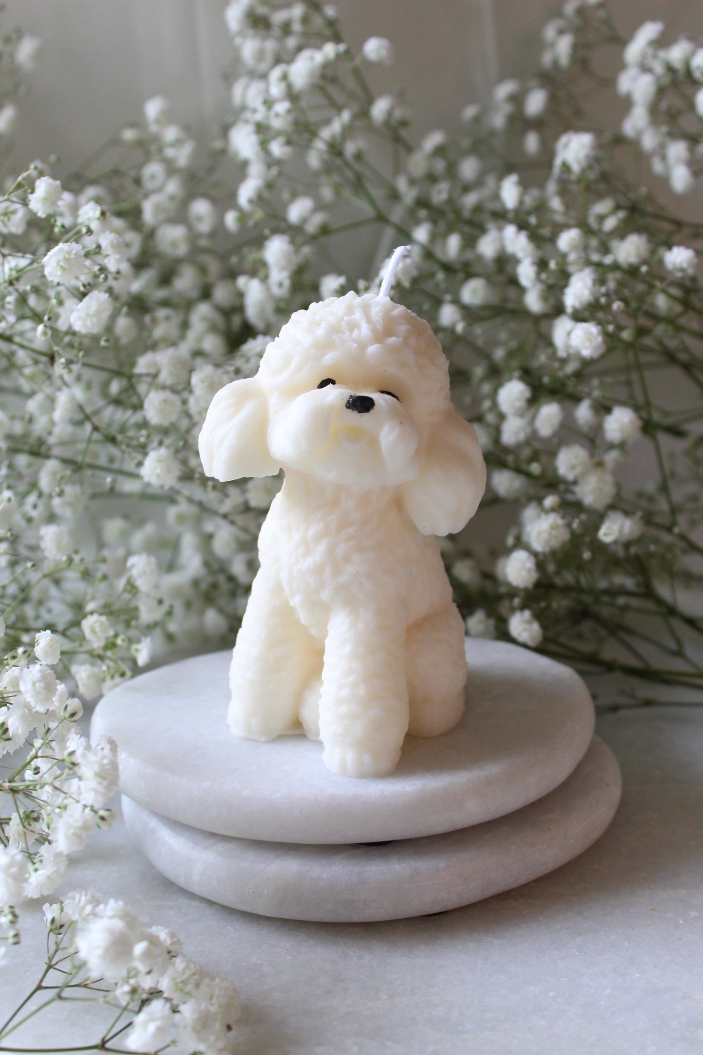 Candle Poodle | Kaars Poedel | Labradoodle