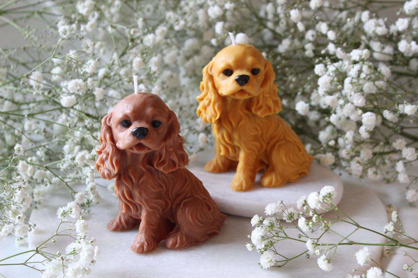 Candle Cavalier King Charles Spaniel | Kaars Hond