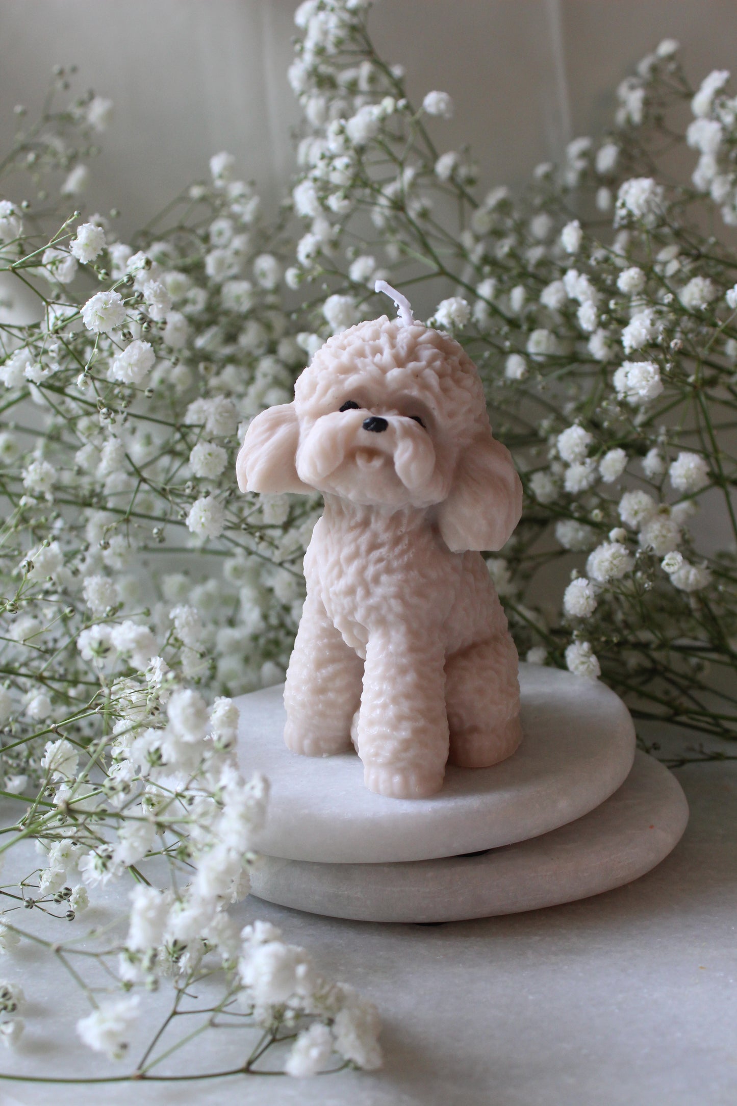 Candle Poodle | Kaars Poedel | Labradoodle