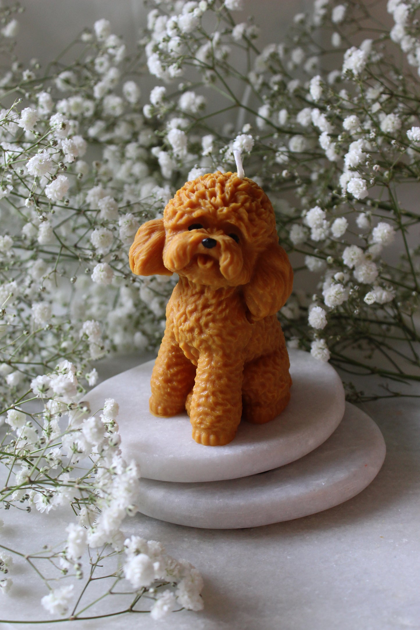 Candle Poodle | Kaars Poedel | Labradoodle