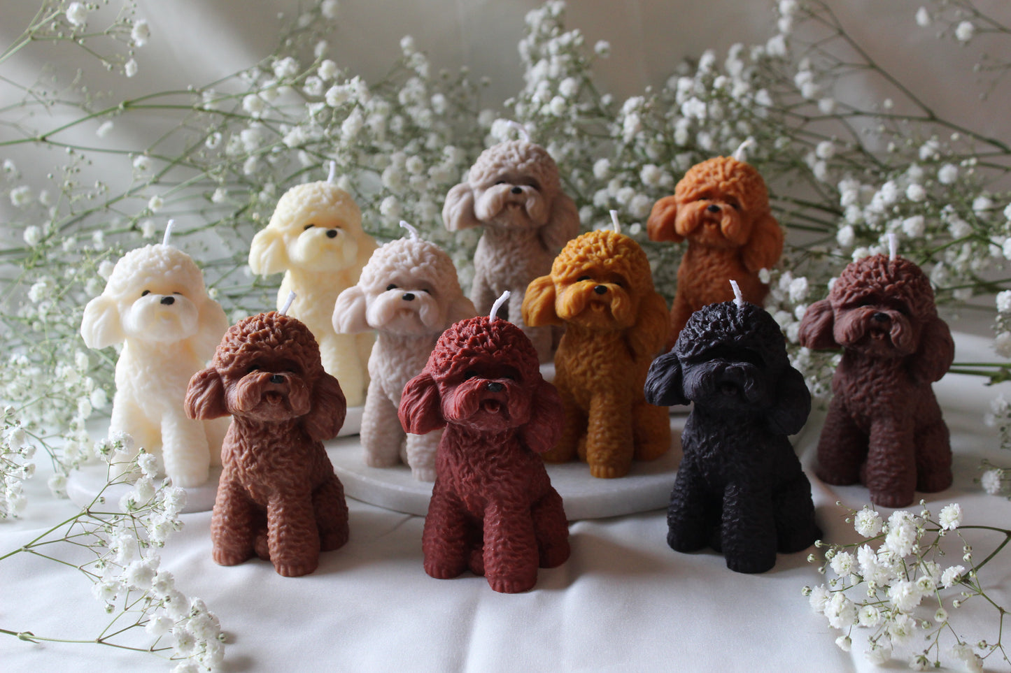 Candle Poodle | Kaars Poedel | Labradoodle