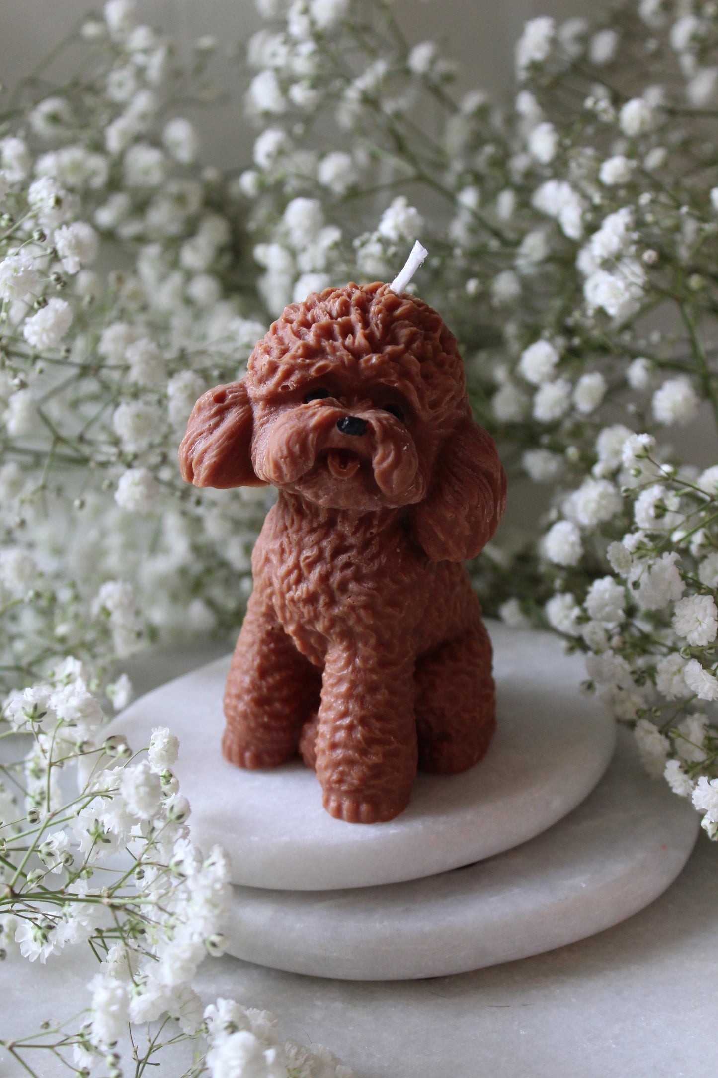 Candle Poodle | Kaars Poedel | Labradoodle