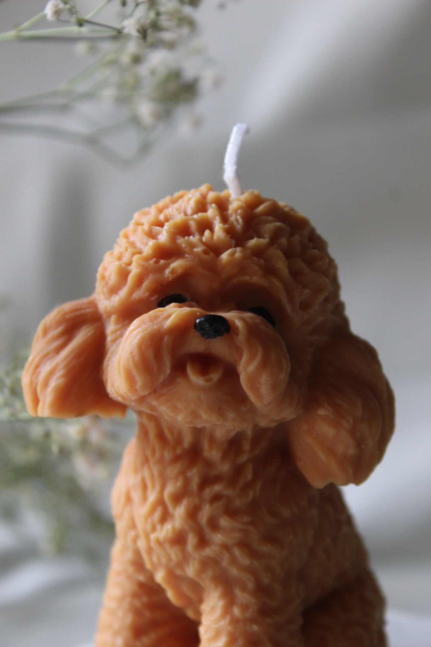 Candle Poodle | Kaars Poedel | Labradoodle