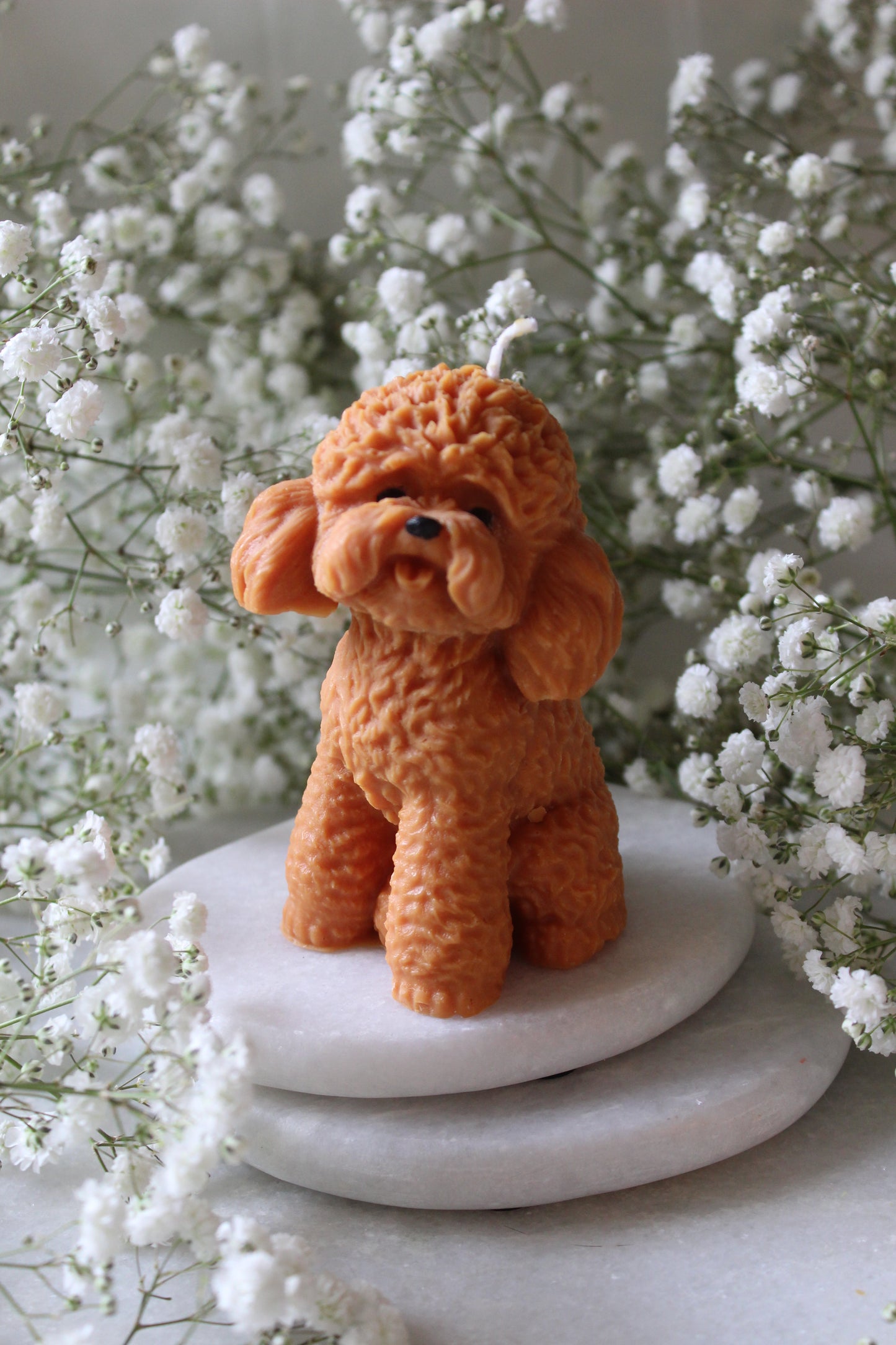 Candle Poodle | Kaars Poedel | Labradoodle