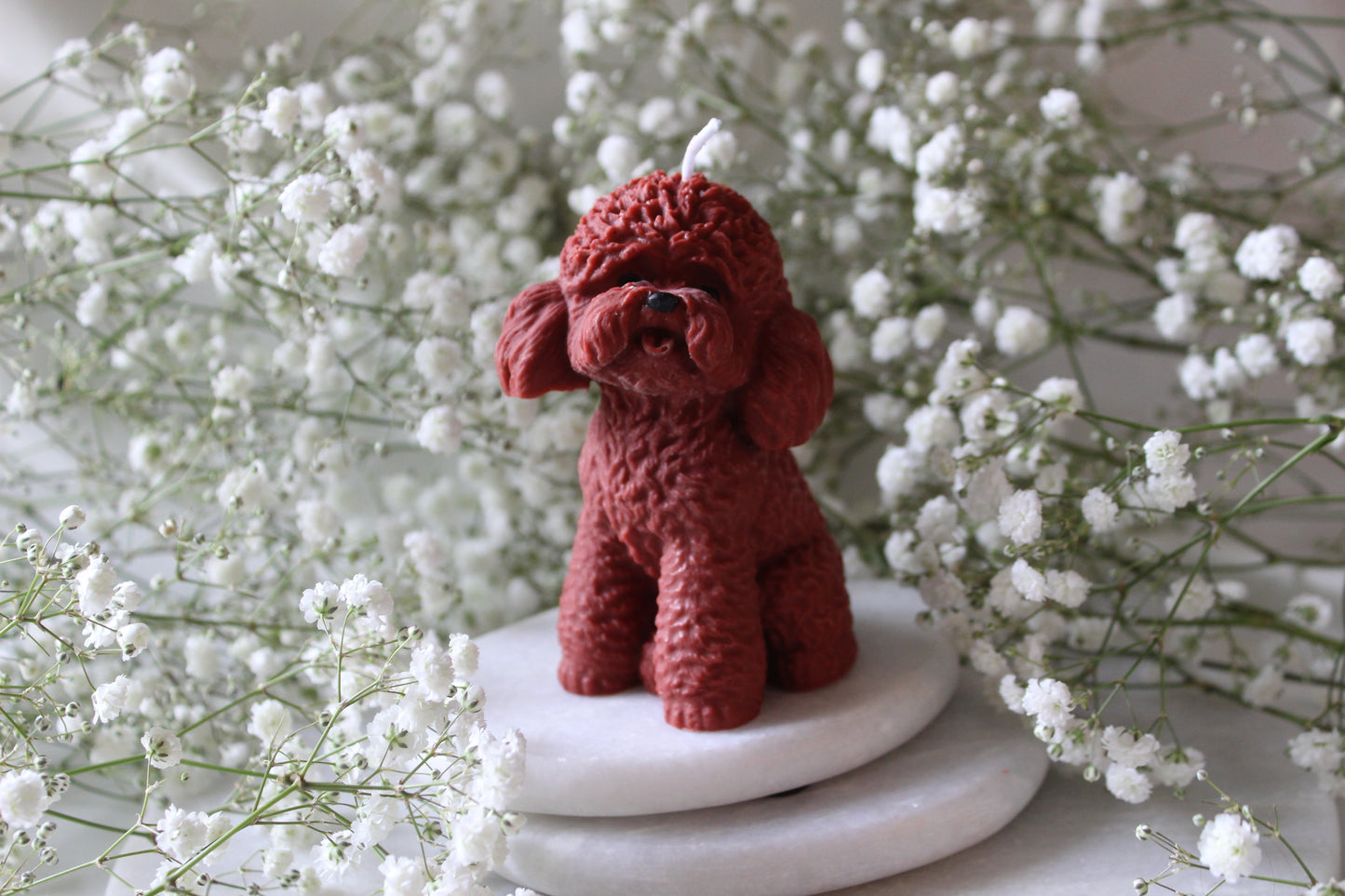 Candle Poodle | Kaars Poedel | Labradoodle