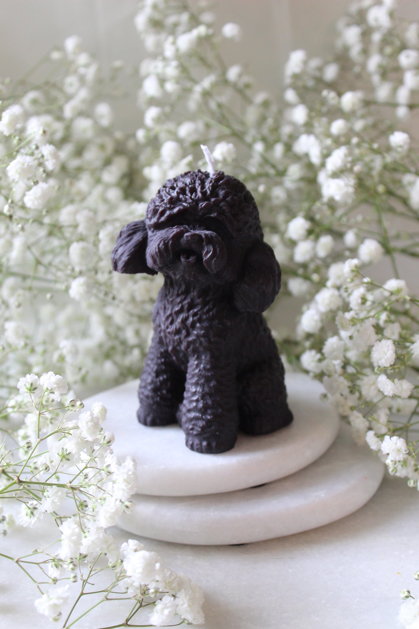 Candle Poodle | Kaars Poedel | Labradoodle