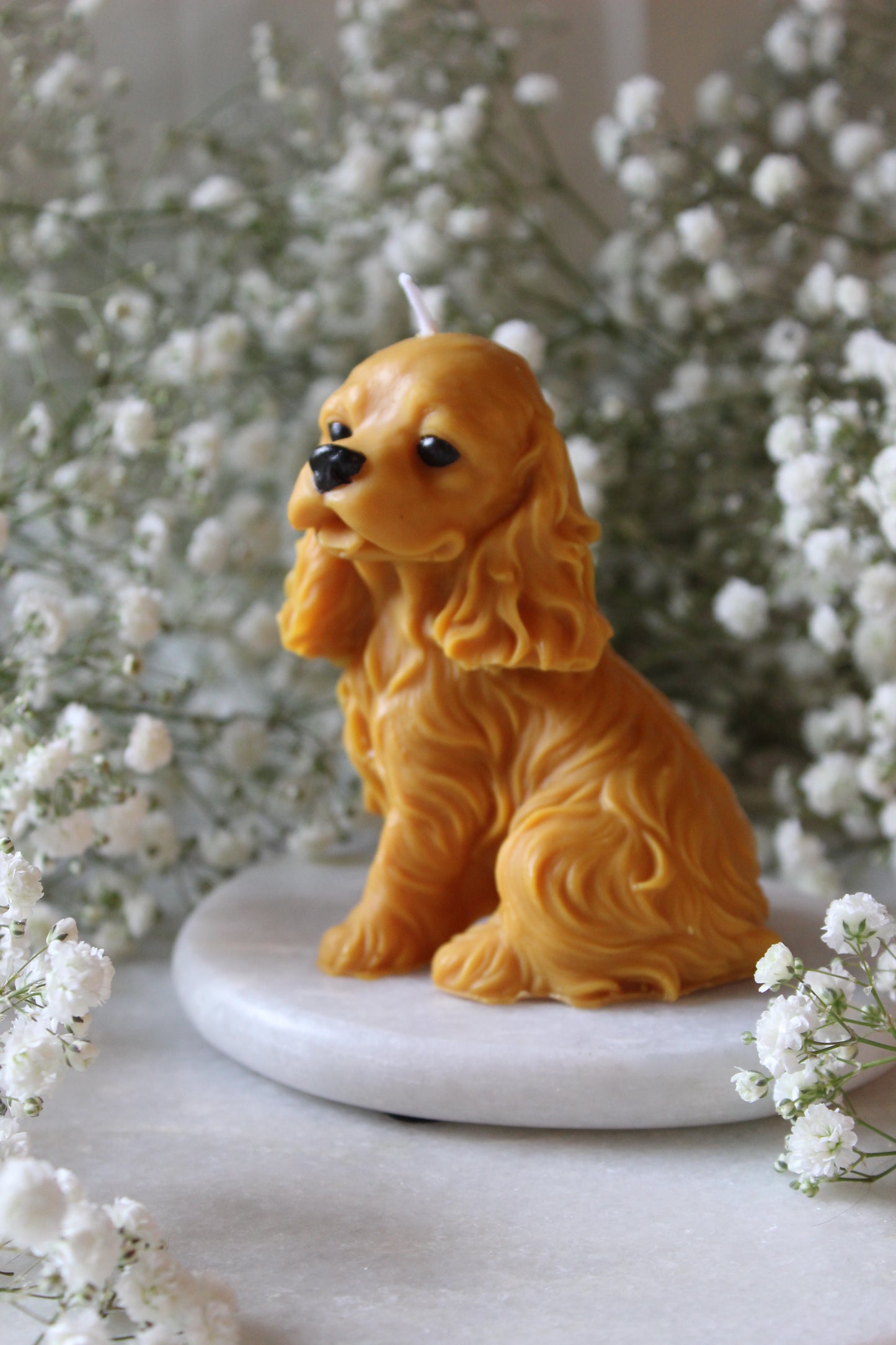 Candle Cavalier King Charles Spaniel | Kaars Hond