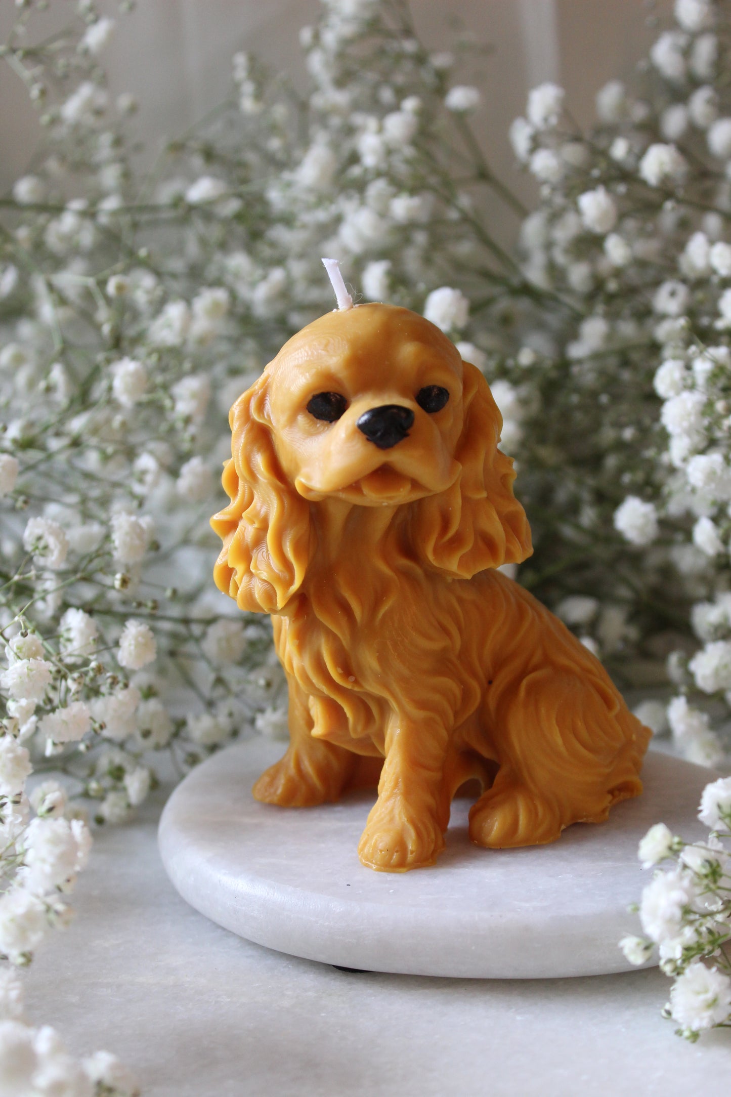 Candle Cavalier King Charles Spaniel | Kaars Hond