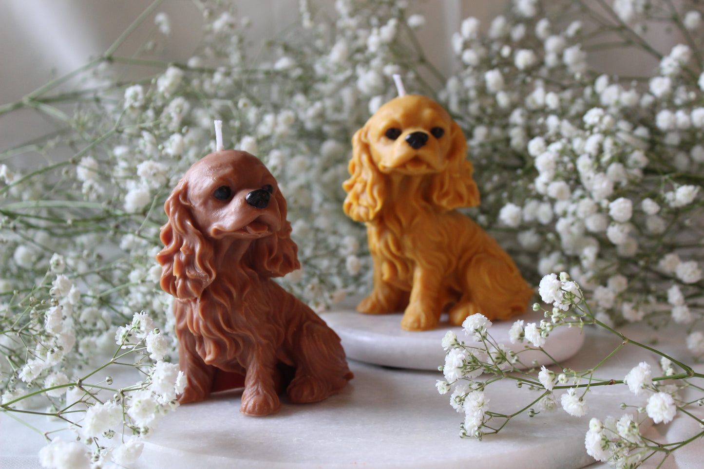 Candle Cavalier King Charles Spaniel | Kaars Hond